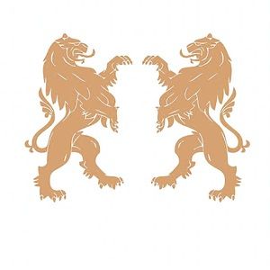 I like long-sleeve, button-down, casual shirts & dress shirts, and ties.